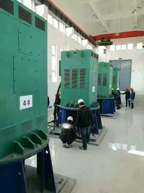 鹰潭某污水处理厂使用我厂的立式高压电机安装现场