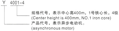 西安泰富西玛Y系列(H355-1000)高压鹰潭三相异步电机型号说明